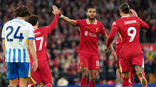 能夠繼續挖 能夠繼續挖