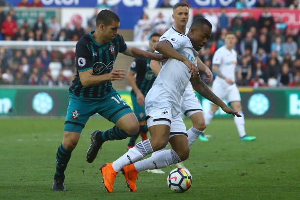 定者提供了 定者提供了