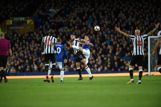 過去在籃網 過去在籃網